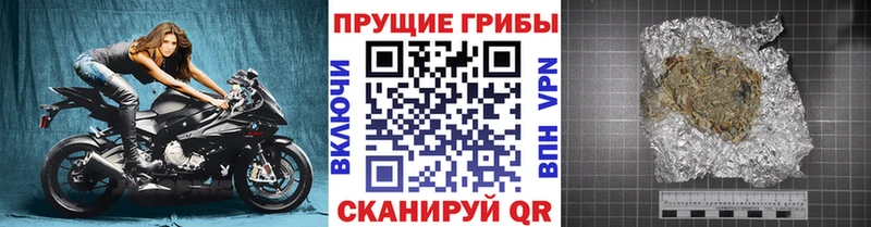 Галлюциногенные грибы ЛСД  как найти   Берёзовский 